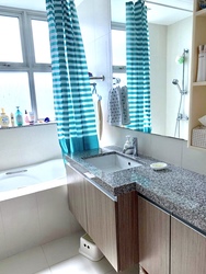 The Metropolitan Condominium (D3), Condominium #212513151